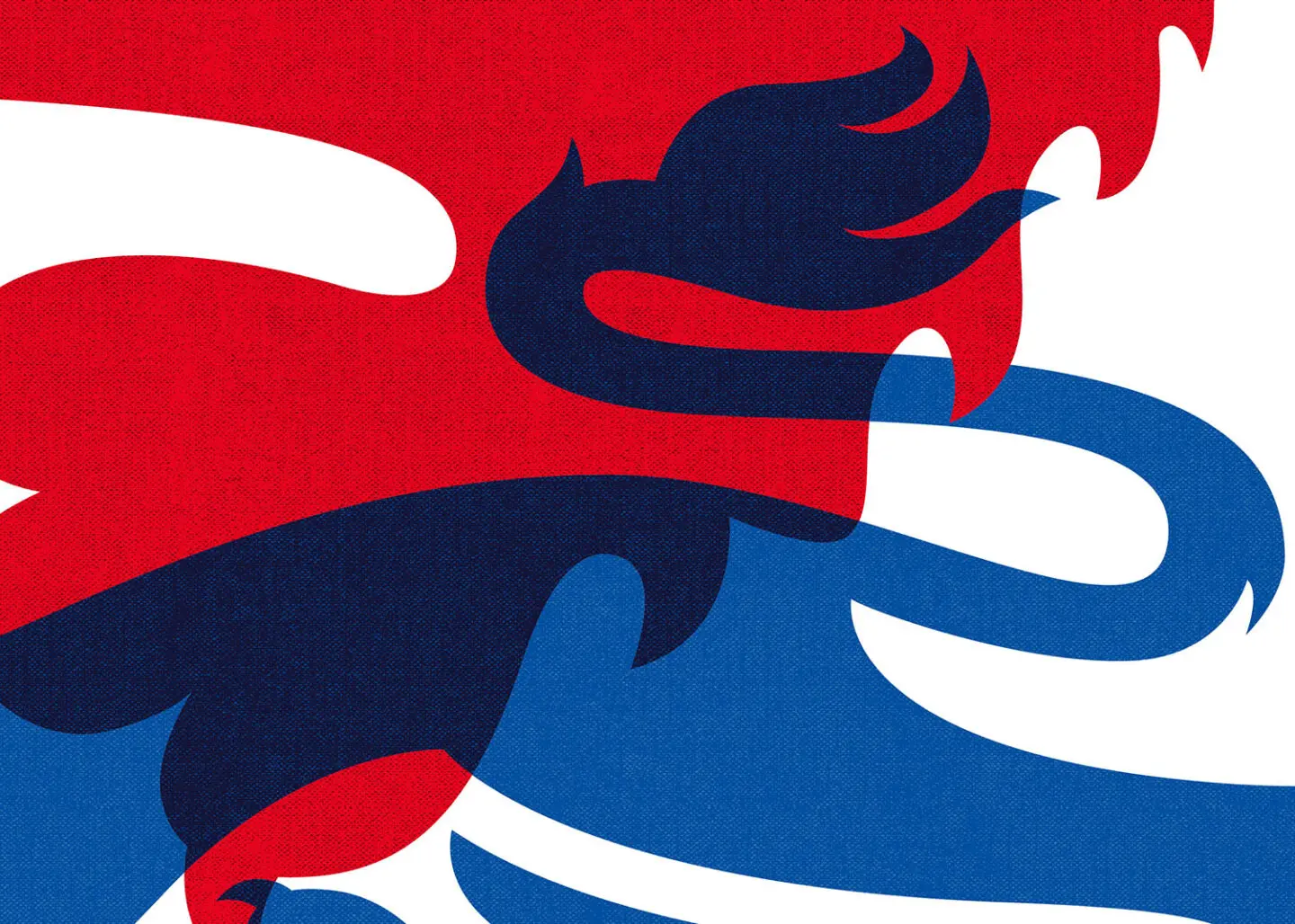 England Mens lion crop tail landscape